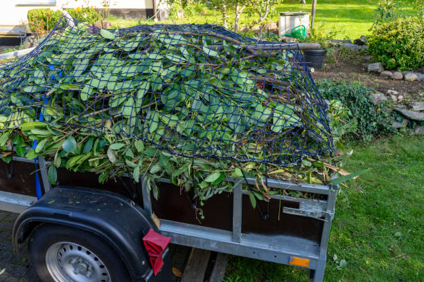 Best Commercial Junk Removal  in Auburn, WA